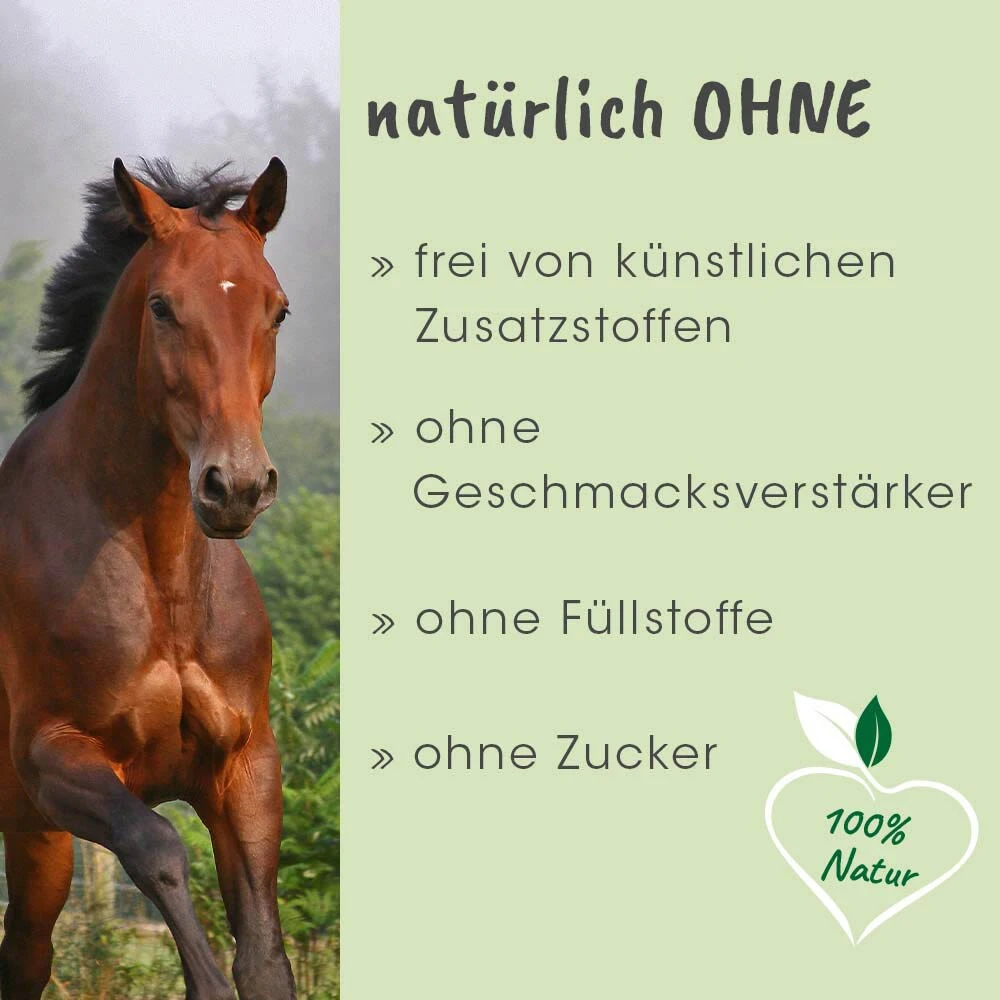 CdVet ArthroGreen Horse 9 CdVet ArthroGreen Horse – Bild 7