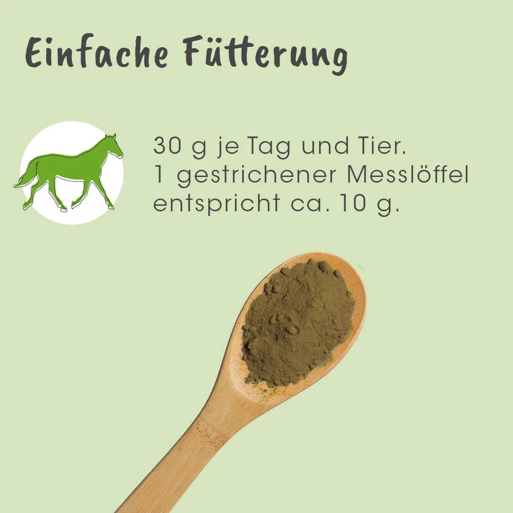 CdVet ArthroGreen Horse 8 CdVet ArthroGreen Horse – Bild 6