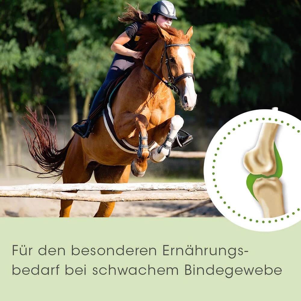 CdVet ArthroGreen Horse 6 CdVet ArthroGreen Horse – Bild 4