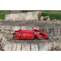 Das Lederband Barcelona Halsband Indian-Red -Haustier Alles Verkaufsgeschäft 0058581 das lederband barcelona halsband indian red