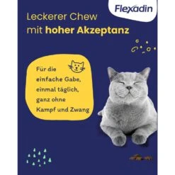 Vetoquinol Flexadin Cat 60 -Haustier Alles Verkaufsgeschäft 0058706 vetoquinol flexadin cat 60