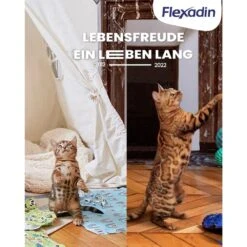 Vetoquinol Flexadin Cat 60 -Haustier Alles Verkaufsgeschäft 0058708 vetoquinol flexadin cat 60