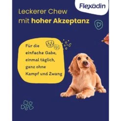 Vetoquinol Flexadin Adult Dog -Haustier Alles Verkaufsgeschäft 0058719 vetoquinol flexadin adult dog