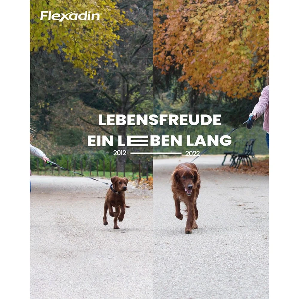 Vetoquinol Flexadin Young Dog Maxi 8 Vetoquinol Flexadin Young Dog Maxi – Bild 6