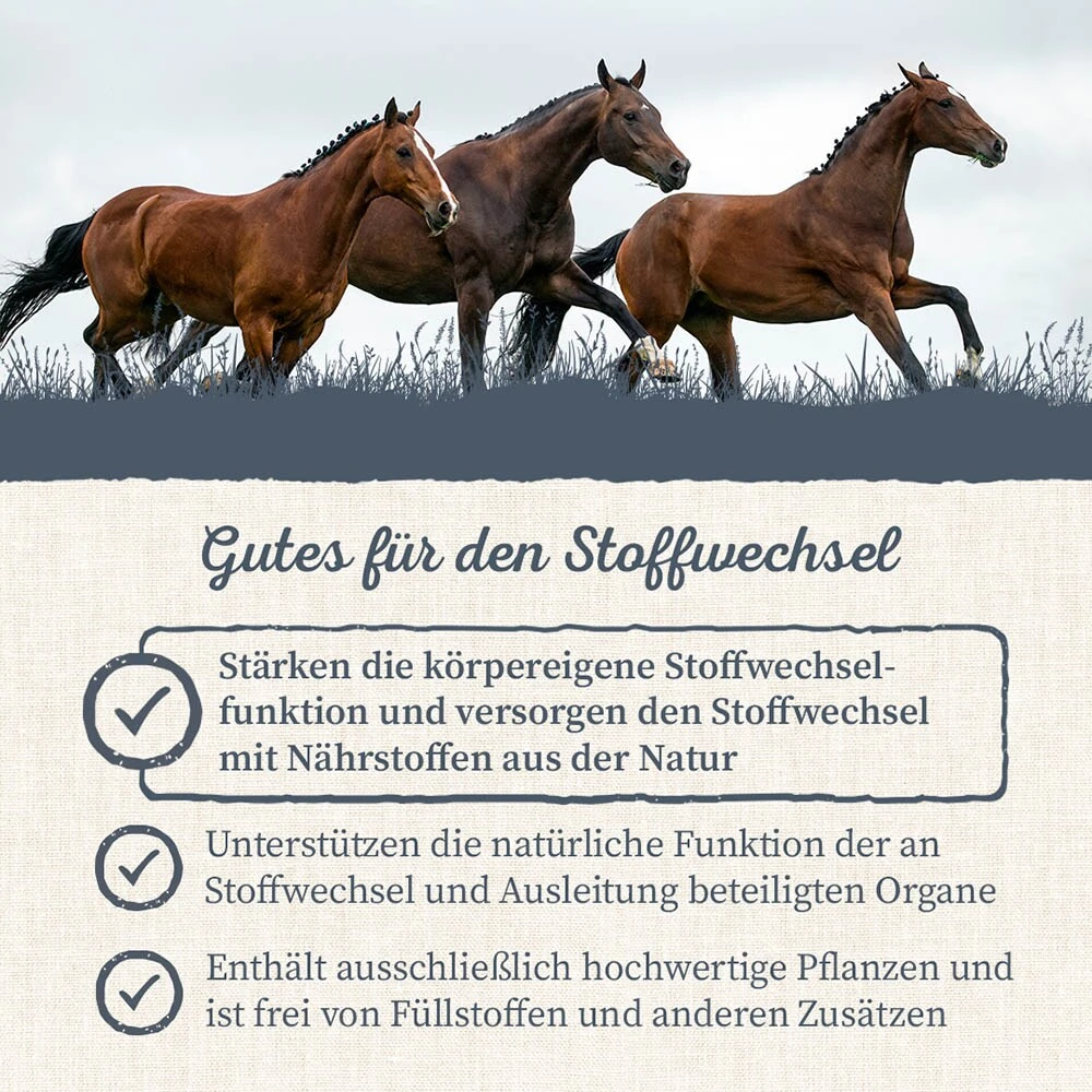 Krauterie Stoffwechsel Kräuter Für Pferde 7 Krauterie Stoffwechsel Kräuter Für Pferde – Bild 5