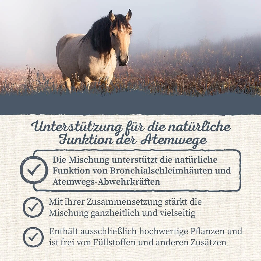Krauterie Atemwegs Kräuter No. 1 Für Pferde 7 Krauterie Atemwegs Kräuter No. 1 Für Pferde – Bild 5