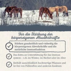 Krauterie Abwehr Kräuter Für Pferde -Haustier Alles Verkaufsgeschäft 0058742 krauterie abwehr krauter fur pferde