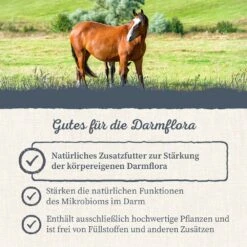 Krauterie Darmflora Kräuter Für Pferde -Haustier Alles Verkaufsgeschäft 0058746 krauterie darmflora krauter fur pferde