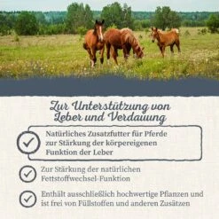 Krauterie Leber Kräuter Für Pferde -Haustier Alles Verkaufsgeschäft 0058752 krauterie leber krauter fur pferde