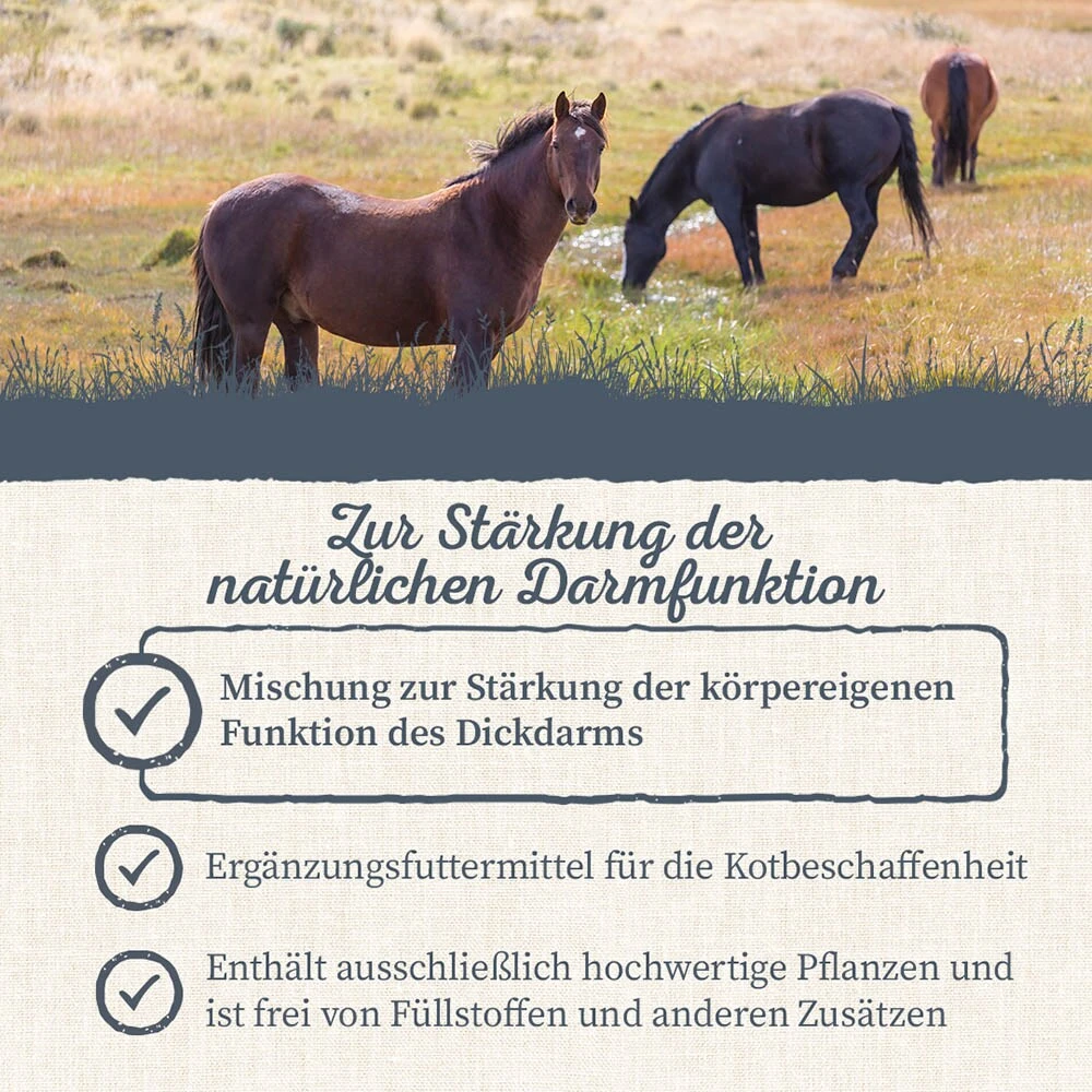 Krauterie Darm Und Wasser Kräuter Für Pferde 7 Krauterie Darm Und Wasser Kräuter Für Pferde – Bild 5