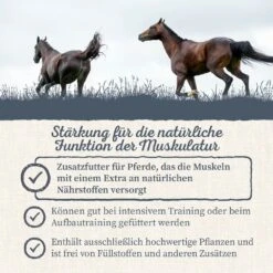 Krauterie Muskel Kräuter Für Pferde 11 Krauterie Muskel Kräuter Für Pferde -Haustier Alles Verkaufsgeschäft 0058766 krauterie muskel krauter fur pferde