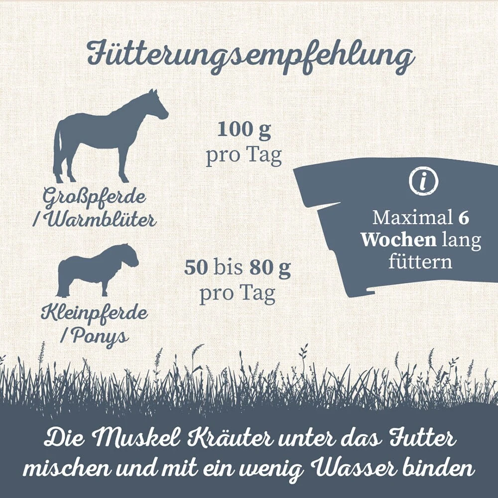 Krauterie Muskel Kräuter Für Pferde 6 Krauterie Muskel Kräuter Für Pferde – Bild 4