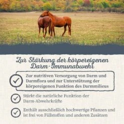 Krauterie Wurm Kräuter Für Pferde -Haustier Alles Verkaufsgeschäft 0058772 krauterie wurm krauter fur pferde