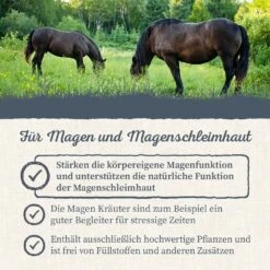 Krauterie Magen Kräuter No. 1 Für Pferde -Haustier Alles Verkaufsgeschäft 0058903 krauterie magen krauter no 1 fur pferde