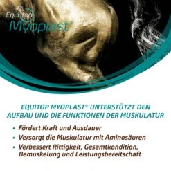 Boehringer Ingelheim Equitop Myoplast Granulat -Haustier Alles Verkaufsgeschäft 0059021 boehringer ingelheim equitop myoplast granulat