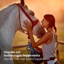 AniForte Vitality Cobs Magen -Haustier Alles Verkaufsgeschäft 0059408 aniforte vitality cobs magen