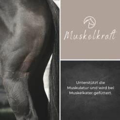 Alpurial Muskelkraft Liquid -Haustier Alles Verkaufsgeschäft 0059577 alpurial muskelkraft liquid