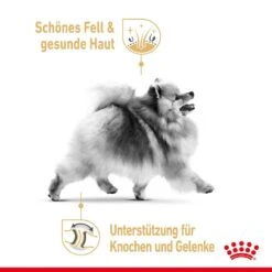 Royal Canin Pomeranian Breed Adult Trockennahrung Für Ausgewachsene Zwergspitze (>8 Monate) 10 Royal Canin Pomeranian Breed Adult Trockennahrung Für Ausgewachsene Zwergspitze (>8 Monate) -Haustier Alles Verkaufsgeschäft 0059643 royal canin pomeranian breed adult trockennahrung fur ausgewachsene zwergspitze 8 monate