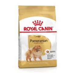 Royal Canin Pomeranian Breed Adult Trockennahrung Für Ausgewachsene Zwergspitze (>8 Monate) 8 Royal Canin Pomeranian Breed Adult Trockennahrung Für Ausgewachsene Zwergspitze (>8 Monate) -Haustier Alles Verkaufsgeschäft 0059644 royal canin pomeranian breed adult trockennahrung fur ausgewachsene zwergspitze 8 monate