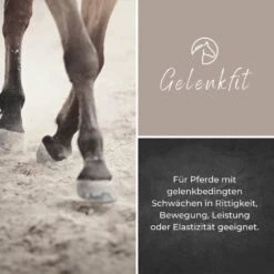 Alpurial Gelenkfit Liquid -Haustier Alles Verkaufsgeschäft 0059674 alpurial gelenkfit liquid