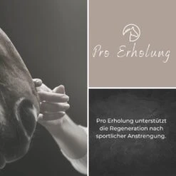 Alpurial Pro Erholung Liquid -Haustier Alles Verkaufsgeschäft 0059679 alpurial pro erholung liquid