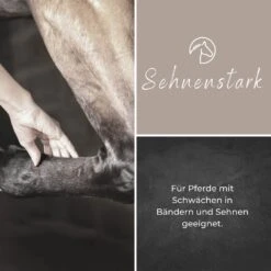 Alpurial Sehnenstark Liquid -Haustier Alles Verkaufsgeschäft 0059681 alpurial sehnenstark liquid