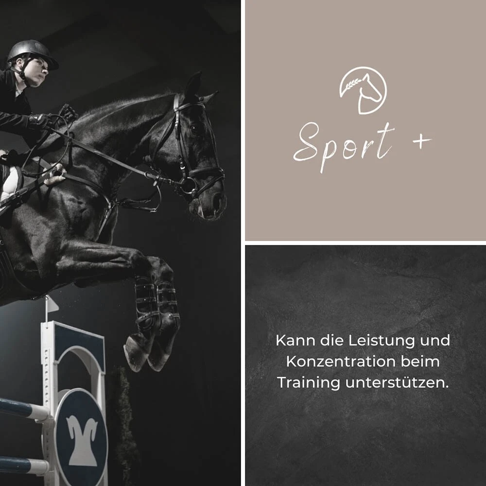 Alpurial Sport+ Liquid 5 Alpurial Sport+ Liquid – Bild 3