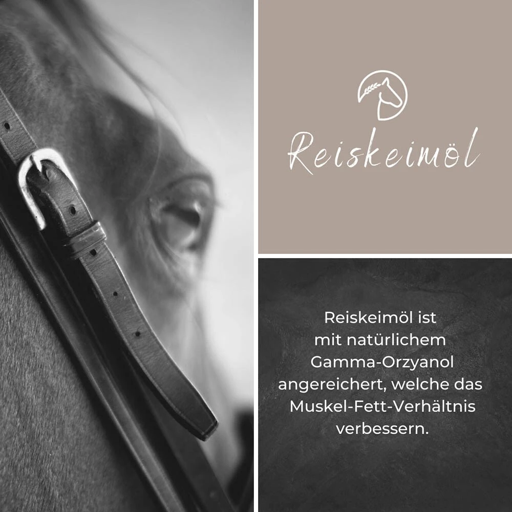 Alpurial Reiskeimöl 5 Alpurial Reiskeimöl – Bild 3