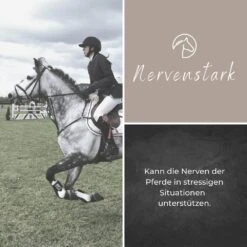 Alpurial Nervenstark Liquid 7 Alpurial Nervenstark Liquid -Haustier Alles Verkaufsgeschäft 0059690 alpurial nervenstark liquid