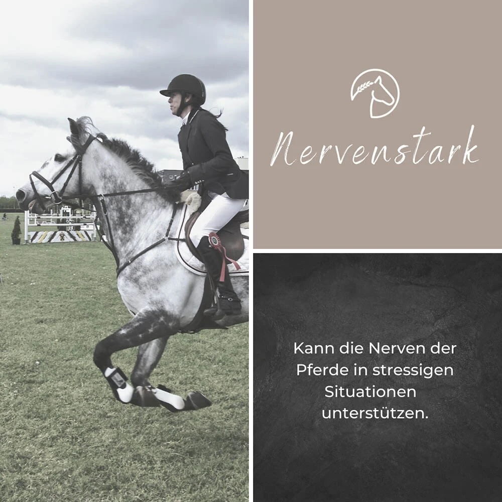 Alpurial Nervenstark Liquid 5 Alpurial Nervenstark Liquid – Bild 3