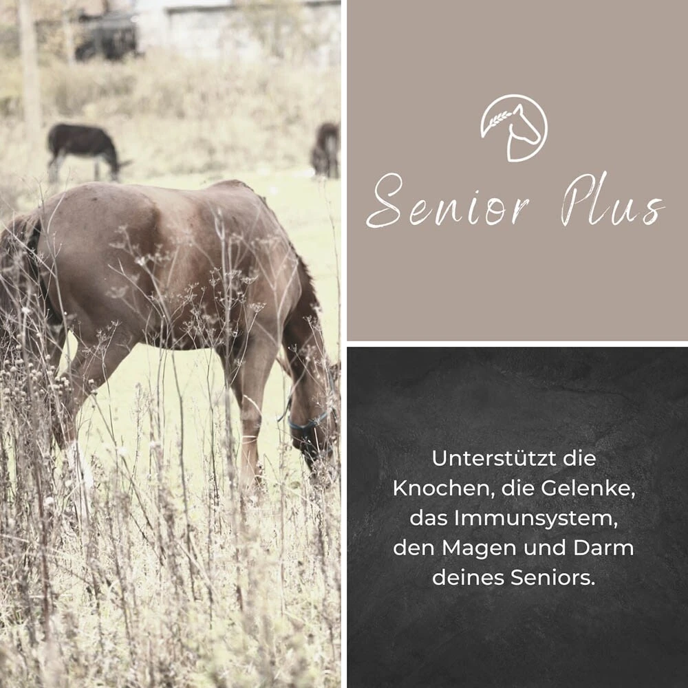 Alpurial Senior Plus Liquid 5 Alpurial Senior Plus Liquid – Bild 3