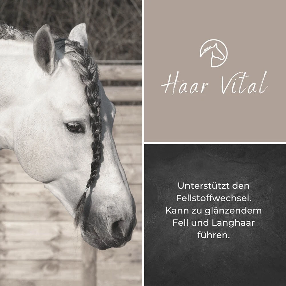 Alpurial Haar Vital Liquid 5 Alpurial Haar Vital Liquid – Bild 3