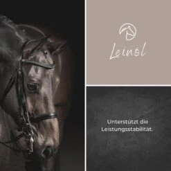 Alpurial Leinöl -Haustier Alles Verkaufsgeschäft 0059727 alpurial leinol