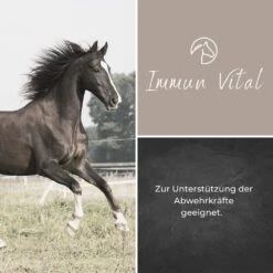 Alpurial Immun Vital 7 Alpurial Immun Vital -Haustier Alles Verkaufsgeschäft 0059728 alpurial immun vital