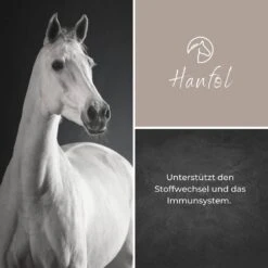 Alpurial Hanföl -Haustier Alles Verkaufsgeschäft 0059731 alpurial hanfol