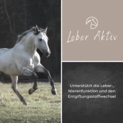 Alpurial Leber Aktiv 7 Alpurial Leber Aktiv -Haustier Alles Verkaufsgeschäft 0059736 alpurial leber aktiv