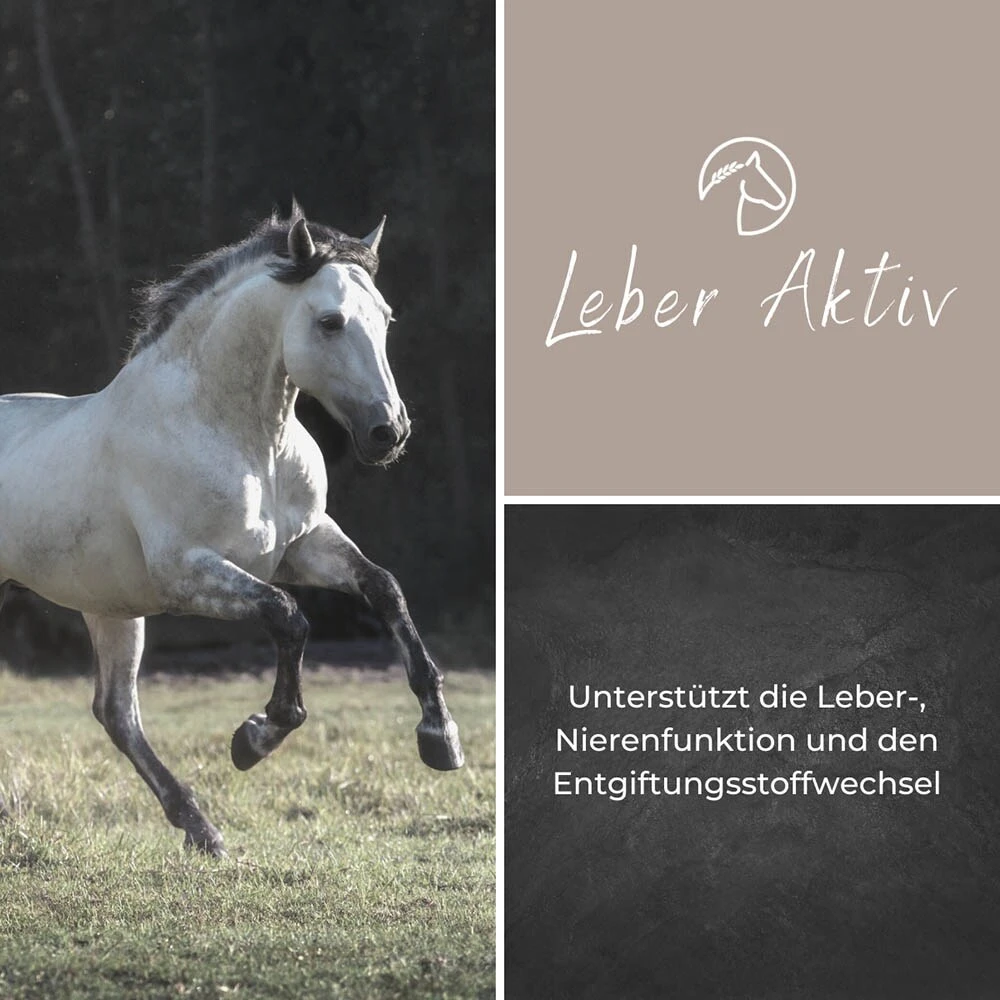 Alpurial Leber Aktiv 5 Alpurial Leber Aktiv – Bild 3