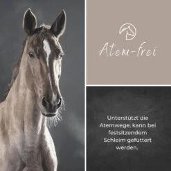 Alpurial Atem-frei Liquid -Haustier Alles Verkaufsgeschäft 0059737 alpurial atem frei liquid