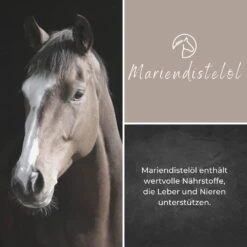 Alpurial Mariendistelöl 7 Alpurial Mariendistelöl -Haustier Alles Verkaufsgeschäft 0059740 alpurial mariendistelol