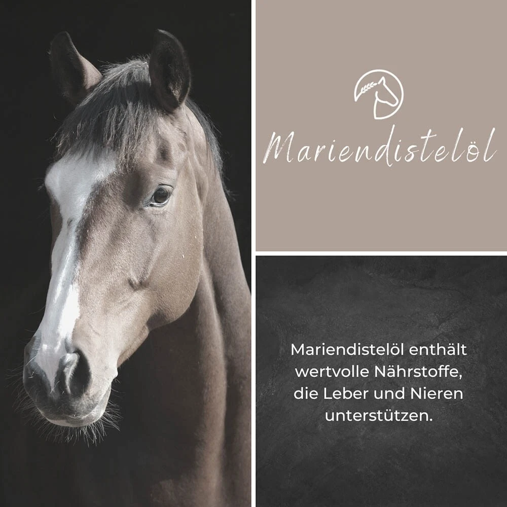 Alpurial Mariendistelöl 5 Alpurial Mariendistelöl – Bild 3