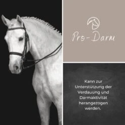 Alpurial Pro-Darm Liquid -Haustier Alles Verkaufsgeschäft 0059743 alpurial pro darm liquid