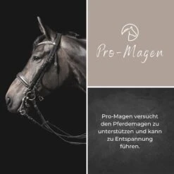 Alpurial Pro-Magen Liquid -Haustier Alles Verkaufsgeschäft 0059746 alpurial pro magen liquid