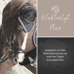 Alpurial Elektrolyt Plus -Haustier Alles Verkaufsgeschäft 0059751 alpurial elektrolyt plus