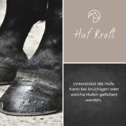 Alpurial Huf-Kraft -Haustier Alles Verkaufsgeschäft 0059753 alpurial huf kraft