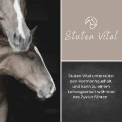 Alpurial Stuten Vital Liquid 7 Alpurial Stuten Vital Liquid -Haustier Alles Verkaufsgeschäft 0059755 alpurial stuten vital liquid