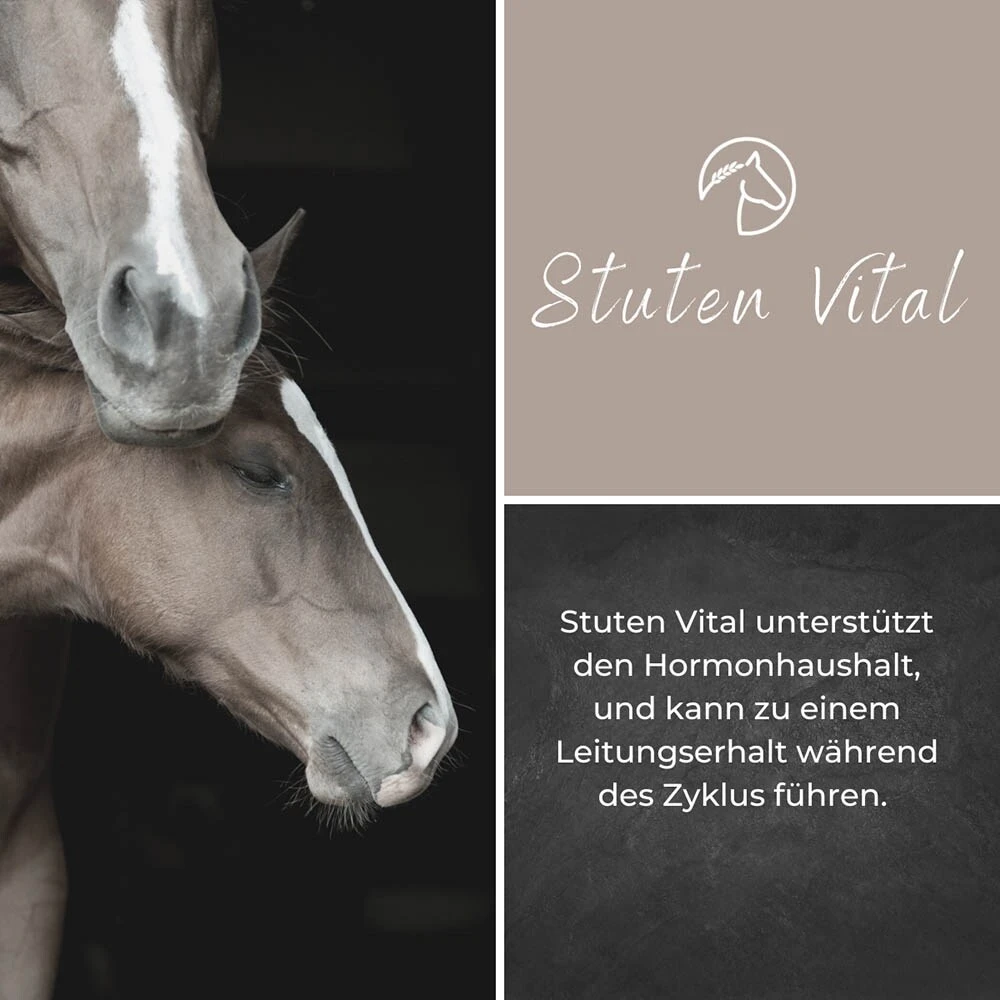 Alpurial Stuten Vital Liquid 5 Alpurial Stuten Vital Liquid – Bild 3