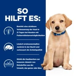 Hills Prescription Diet Derm Complete Puppy Mit Reis Und Ei Trockenfutter Für Hunde -Haustier Alles Verkaufsgeschäft 0060031 hills prescription diet derm complete puppy mit reis und ei trockenfutter fur hunde