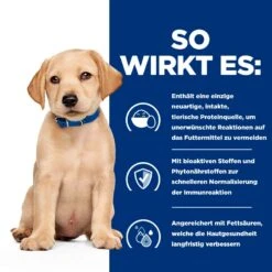 Hills Prescription Diet Derm Complete Puppy Mit Reis Und Ei Trockenfutter Für Hunde -Haustier Alles Verkaufsgeschäft 0060032 hills prescription diet derm complete puppy mit reis und ei trockenfutter fur hunde