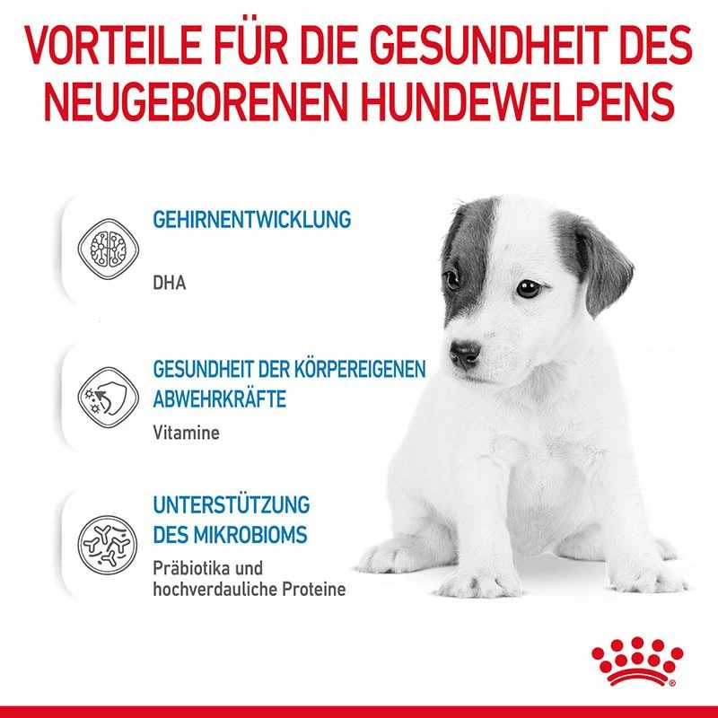 Royal Canin Babydog Milk Welpenmilch Hundewelpen Von Der Geburt Bis Zum Absetzen 5 Royal Canin Babydog Milk Welpenmilch Hundewelpen Von Der Geburt Bis Zum Absetzen – Bild 3