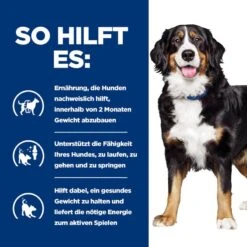 Hills Prescription Diet Metabolic + Mobility Trockenfutter Für Hunde Mit Huhn -Haustier Alles Verkaufsgeschäft 0060229 hills prescription diet metabolic mobility trockenfutter fur hunde mit huhn